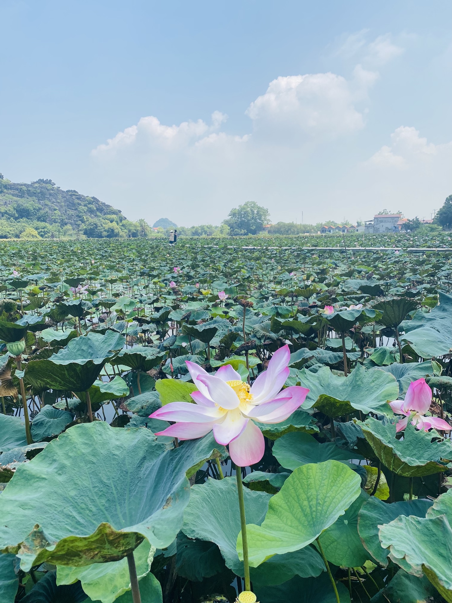 Sunset and sunrise views on the scooter tour